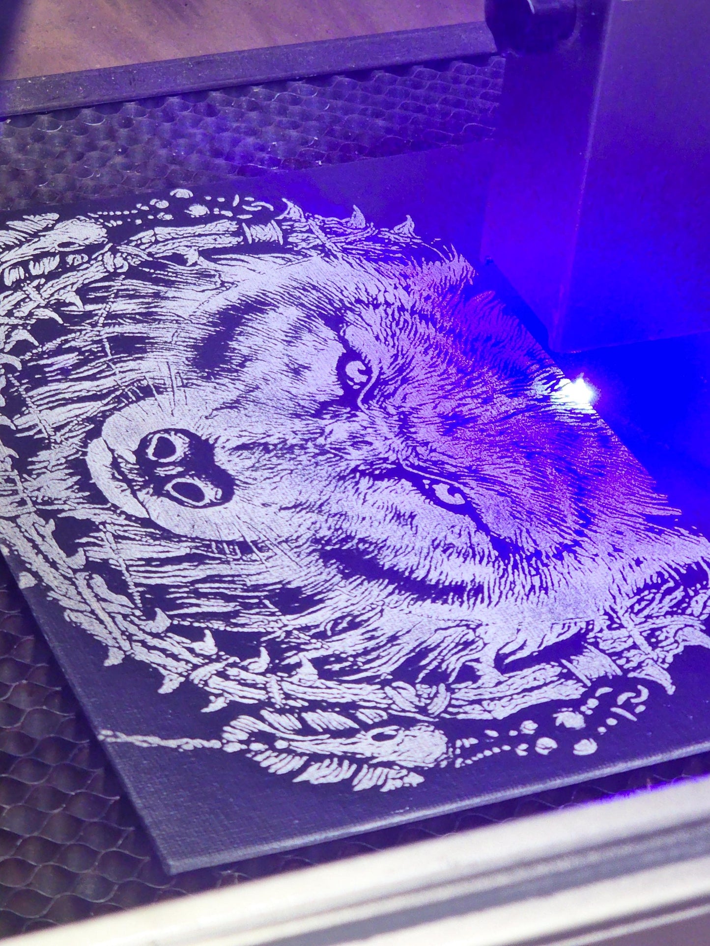 Canvas Wolf 8x10 - Black and White Design with Wolf's Eye, Unique Artistic Style