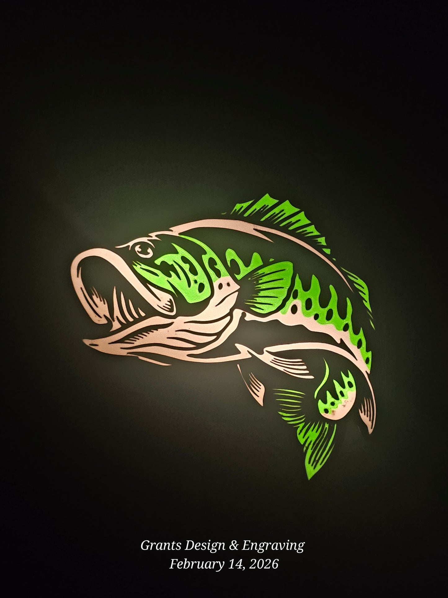 Largemouth Bass LED Lightbox